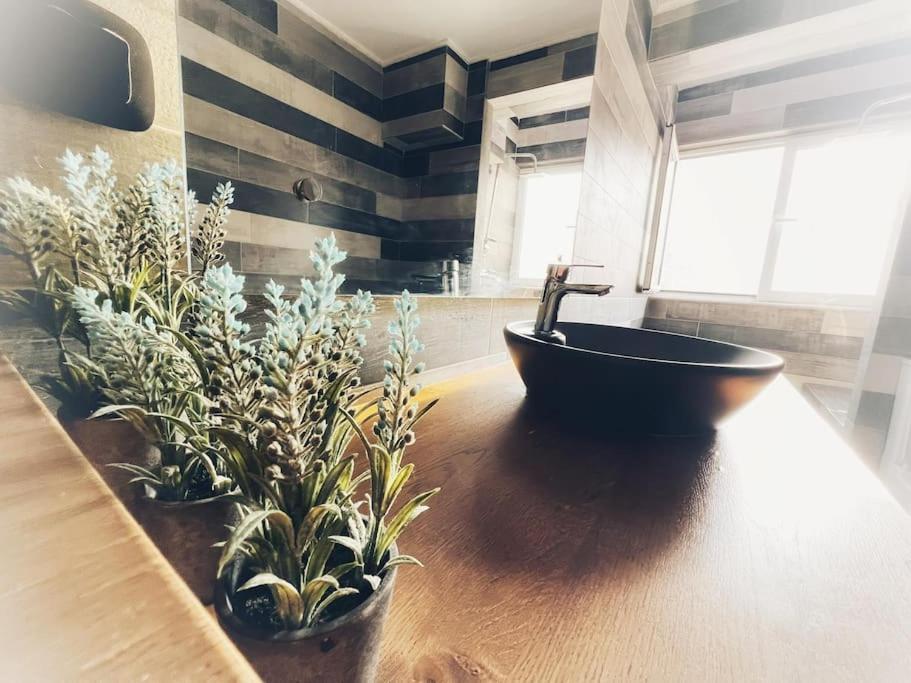 The Beehive Apartman Mytilíni Kültér fotó